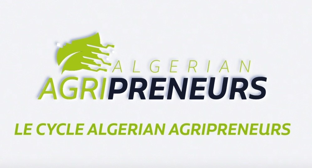 Challenge Startupper de l'Année